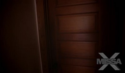 Вертихвостка стремилась порадовать своего братана и предложила ему провести с ней ночь.